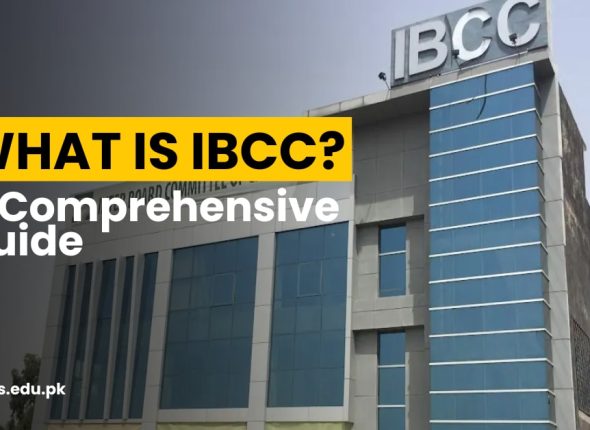 What is IBCC