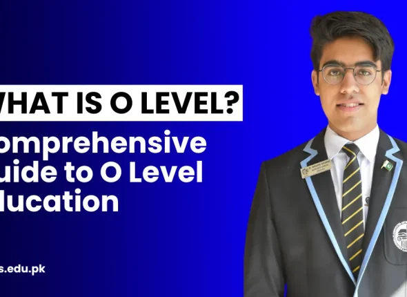 What is O Level Education